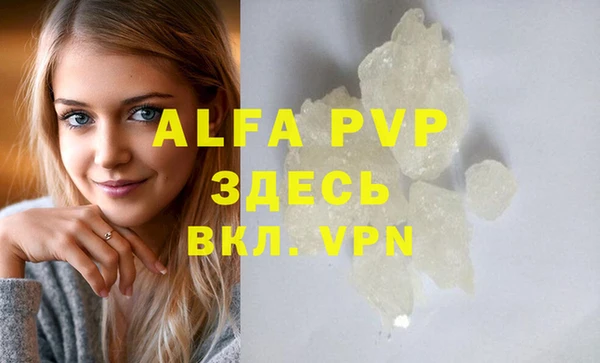 сатива Белокуриха