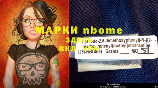 сатива Белокуриха